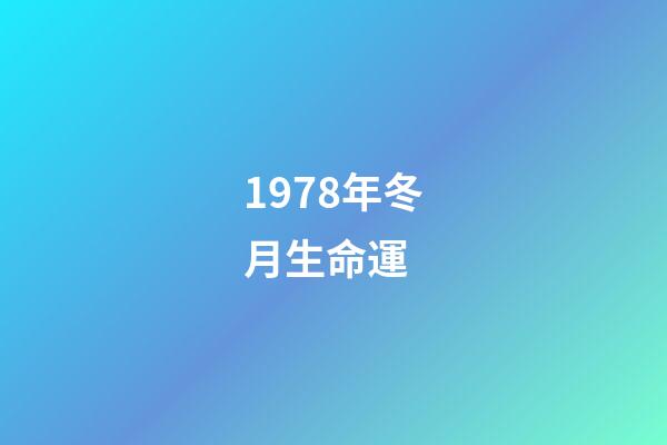 1978年冬月生命運 (1978年3月生命運)-第1張-觀點-玄機派